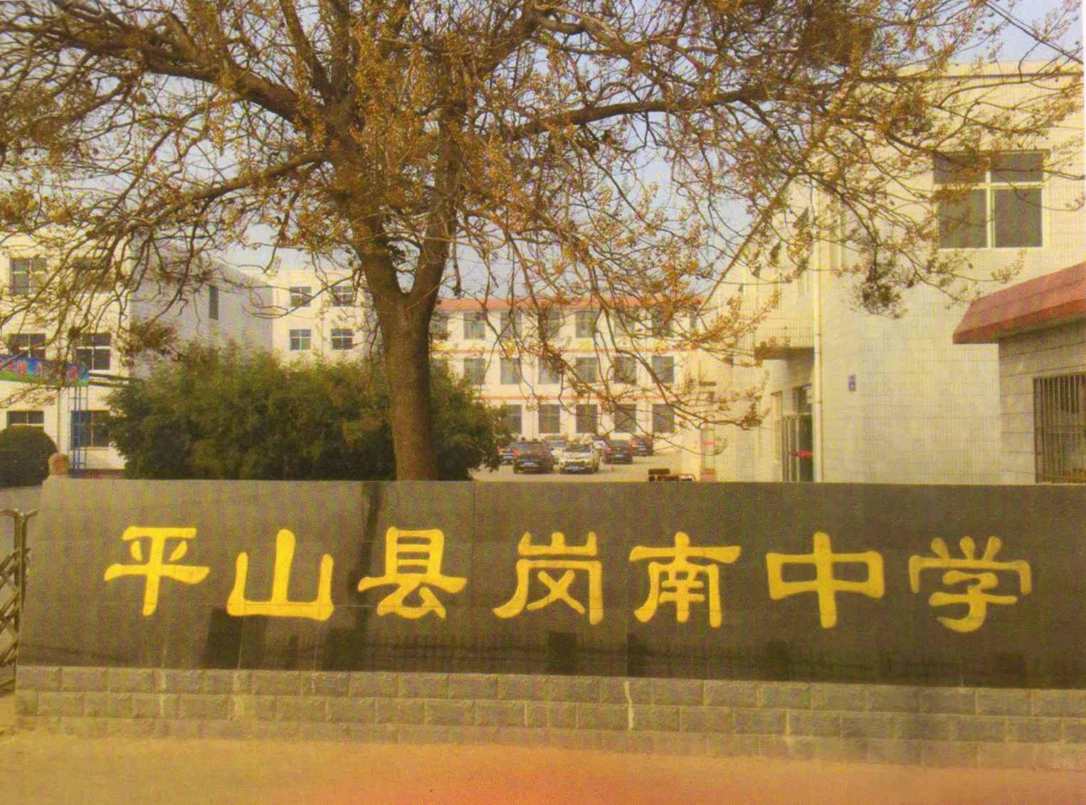 成功案例 成功案例